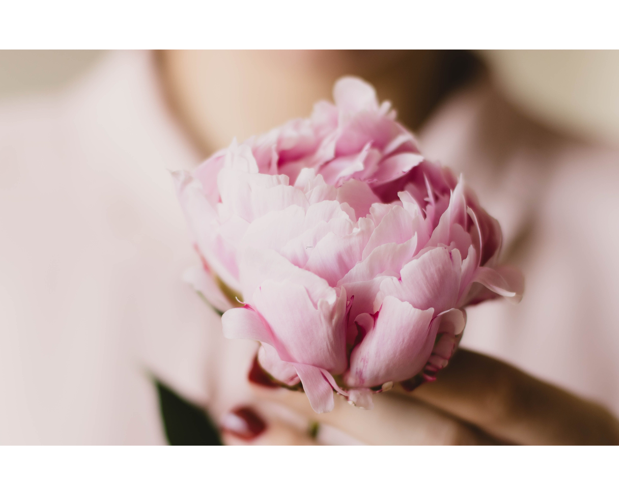 All the Lady Bits: Navigating the Electric Rollercoaster of Menopause