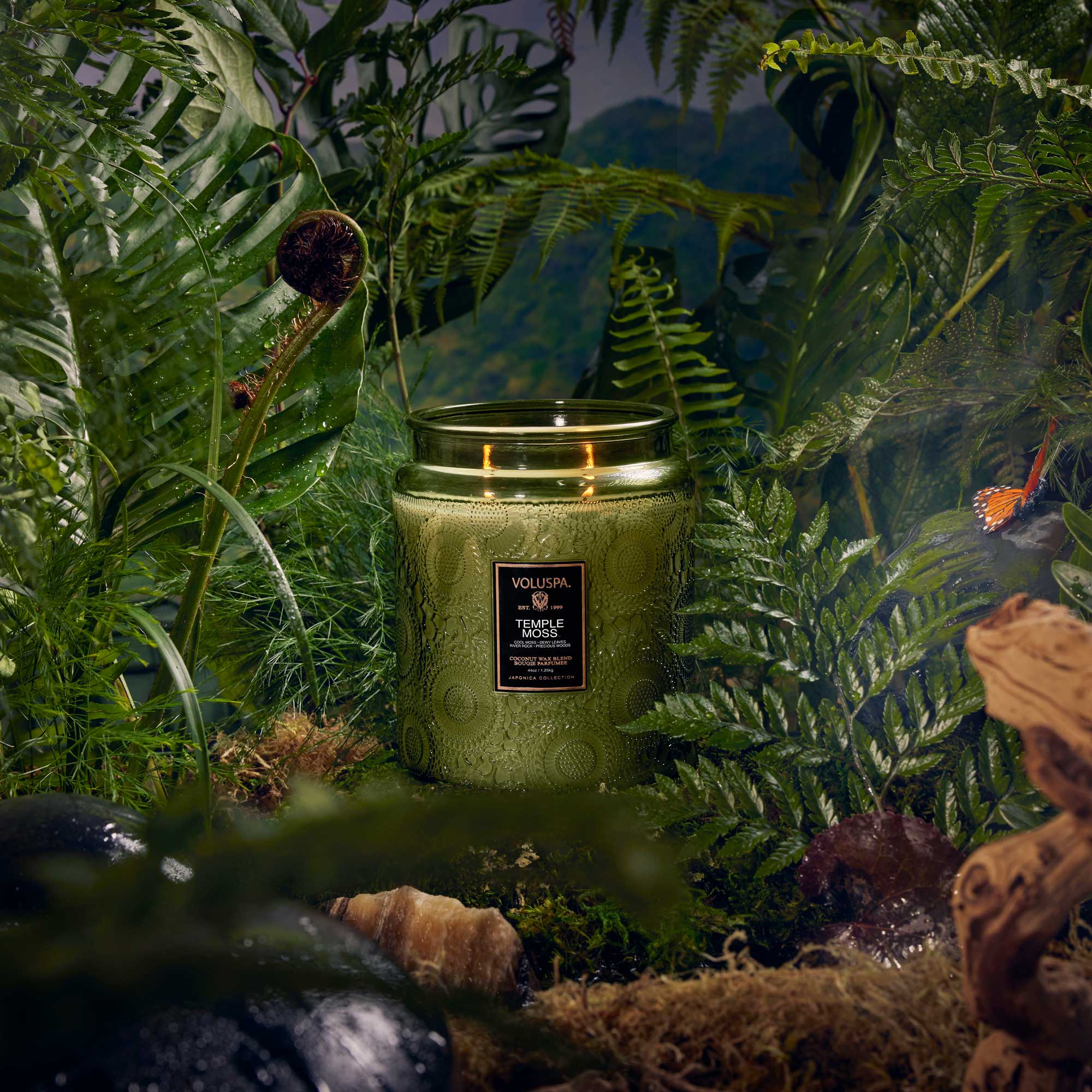 Temple Moss Luxe Jar