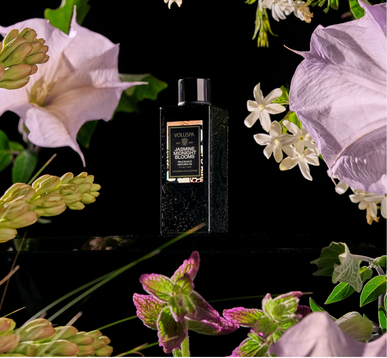 Jasmine Midnight Blooms Diffuser Fragrance Oil