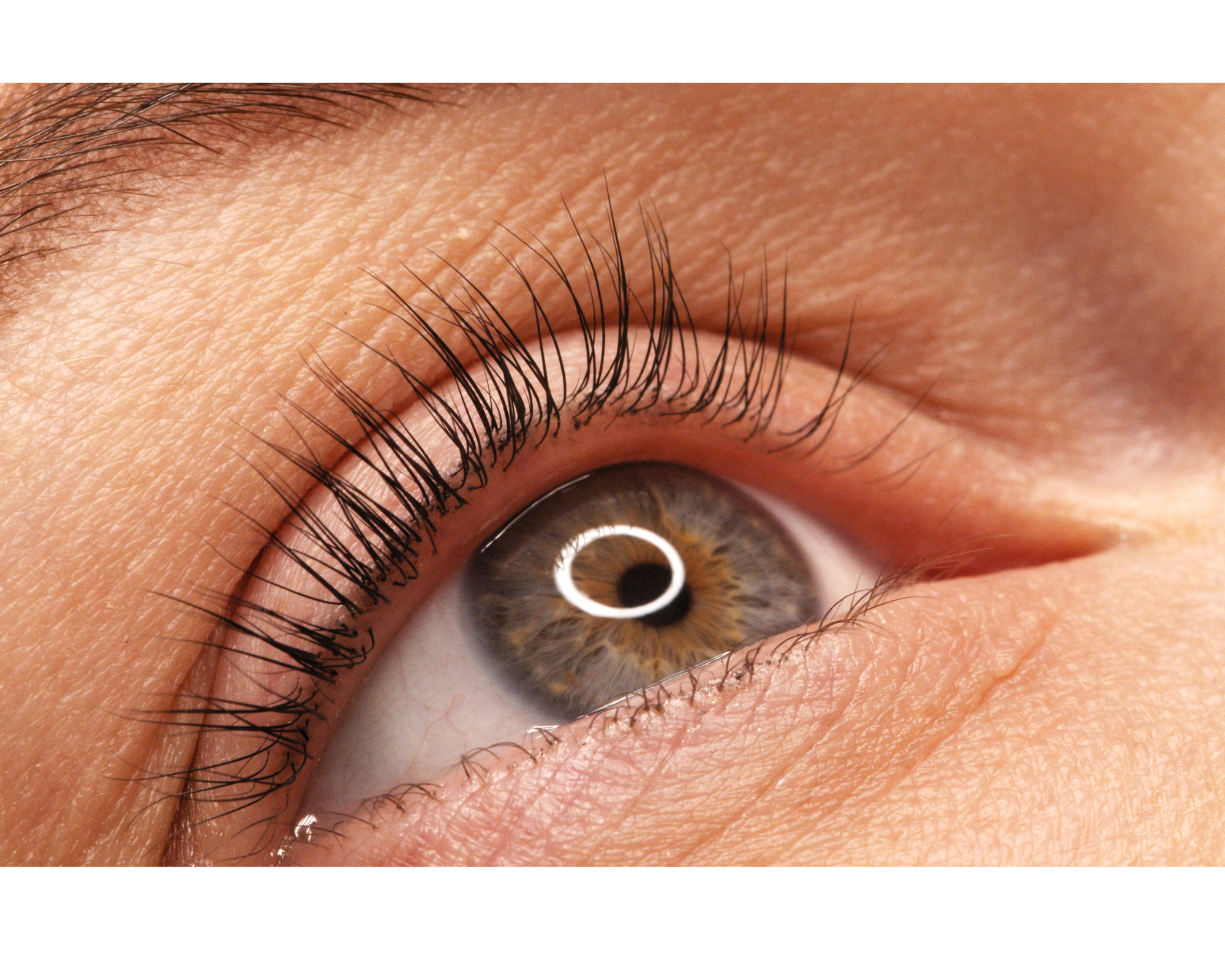 Lash Goals Unlocked: The Truth About Growth Serums & the Best One to Buy