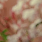 Nude Effect 10ml Eau De Parfum