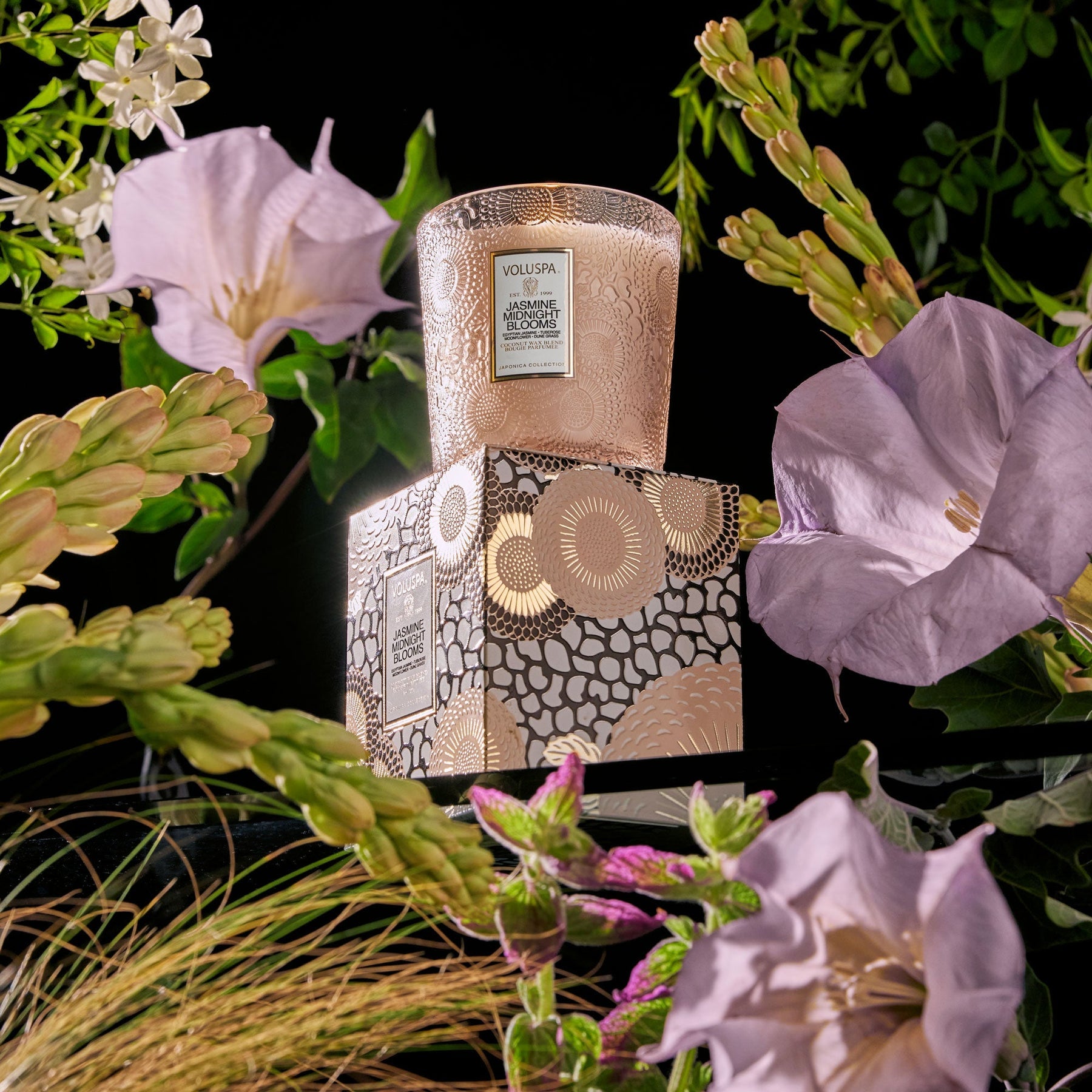 Jasmine Midnight Blooms 9oz